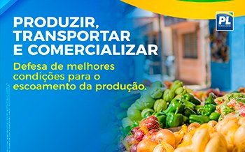 Produzir, transportar e comercializar — logística e transporte para comercialização